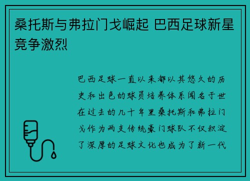 桑托斯与弗拉门戈崛起 巴西足球新星竞争激烈